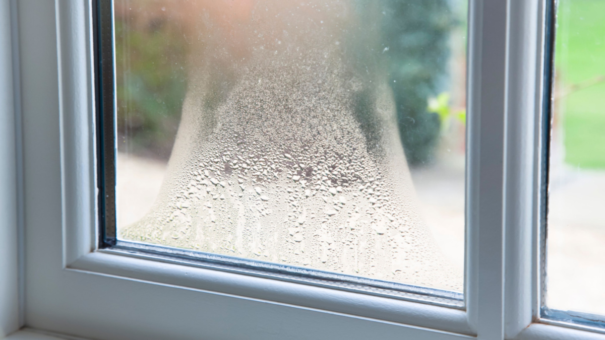 Window with condensation