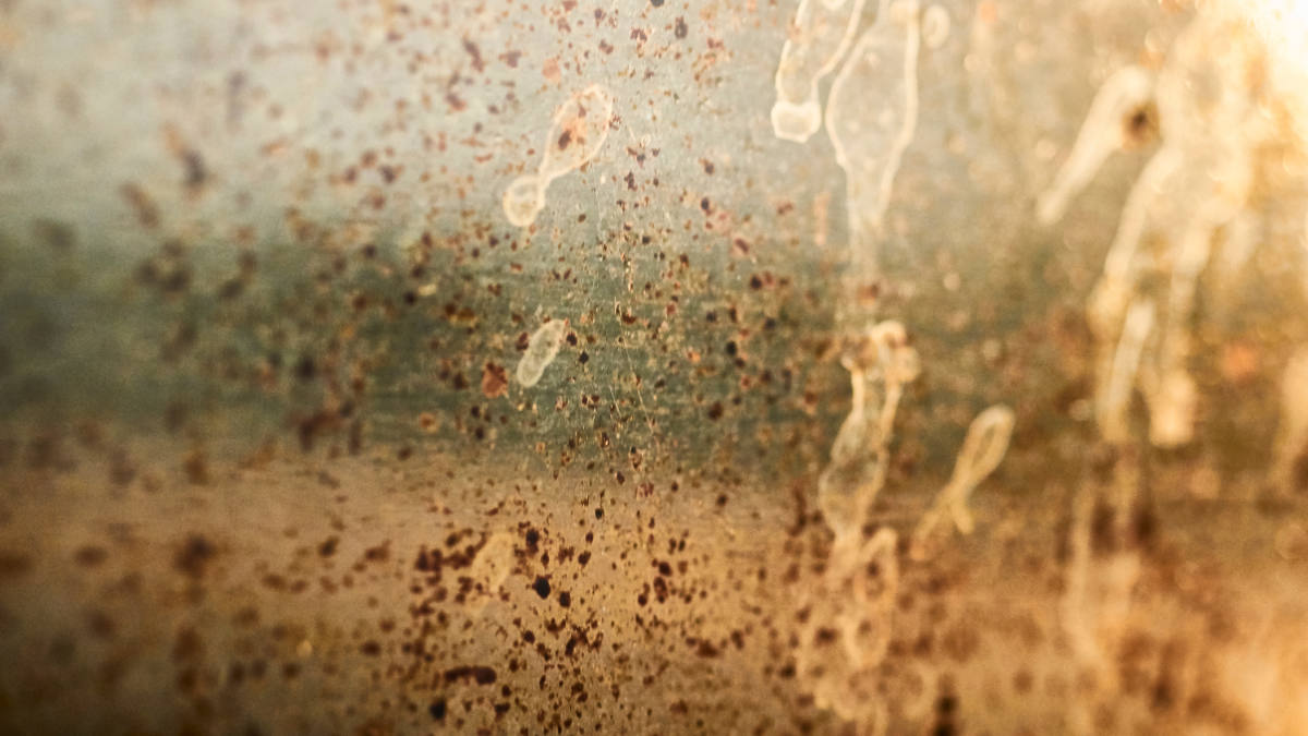 Grease build up between the glass panes on an oven door